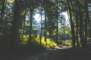 Drug Rehab and Alcohol Treatment: New Therapies in Canada, from Vancouver to Toronto